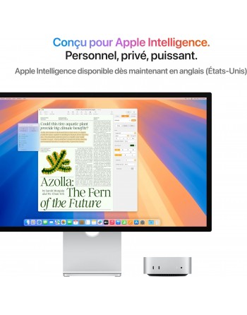 Apple Mac Mini M4 16 Go RAM 256 Go SSD CPU 10 coeurs GPU 10 cœurs Apple Mac Mini M4 16 Go RAM 256 Go SSD CPU 10 coeurs GPU 10 cœurs